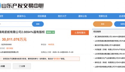 山东财欣投资拟退出湛江晨鸣，2023年曾对其增资3亿元