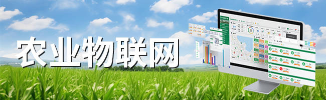 农业物联网：结合物联网技术的智慧农业