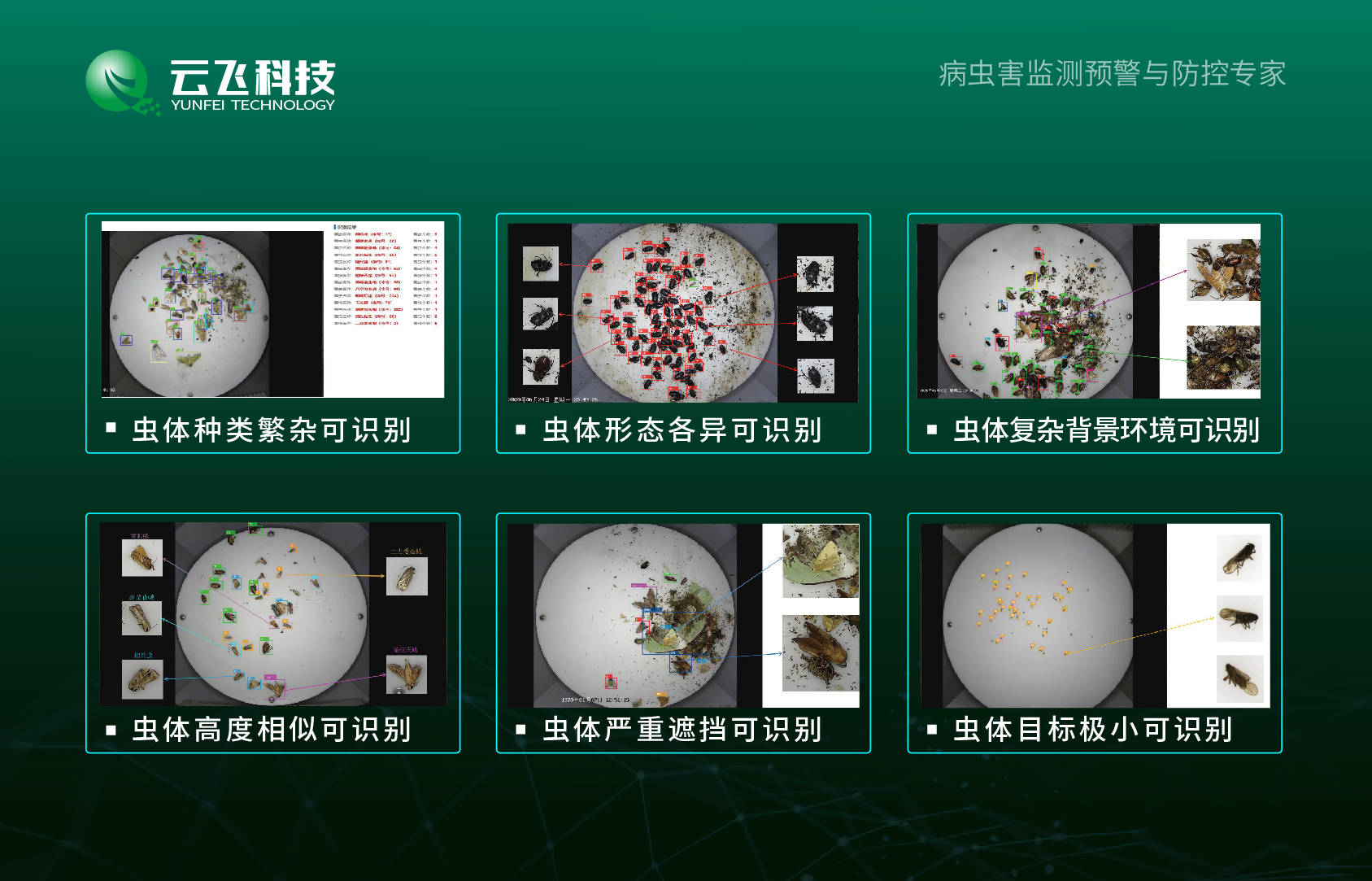 物联网测报灯