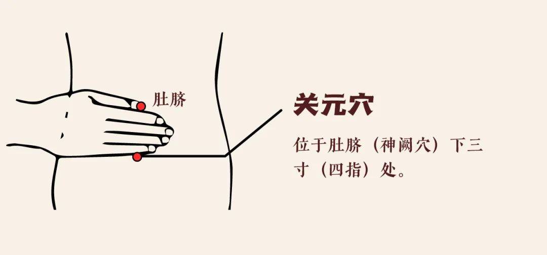 谷医堂中医健康：关元穴灸疗，补阳养血两不误