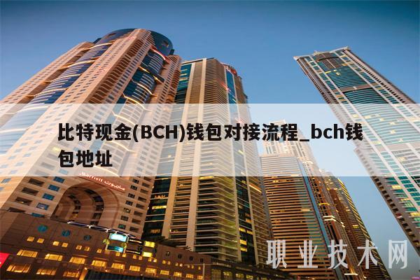 BCH-比特现金(比特现金bch值得买吗)