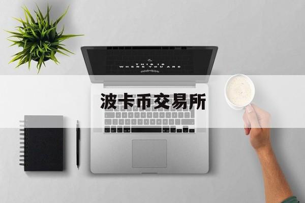 波卡币交易所(波卡币实时行情)